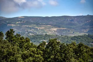 1219 Repetto Ranch Rd, Sonoma, CA 95476 - Photo 52