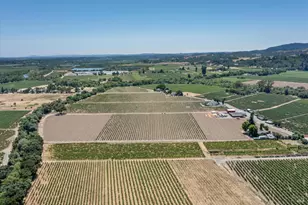 1558 Magnolia Dr, Healdsburg, CA 95448 - Photo 10