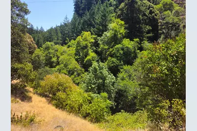 58901 Hwy 101 Highway, Leggett, CA 95585 - Photo 6