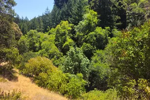 58901 Hwy 101 Hwy, Leggett, CA 95585 - Photo 6