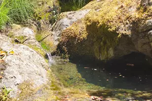 58901 Hwy 101 Hwy, Leggett, CA 95585 - Photo 4