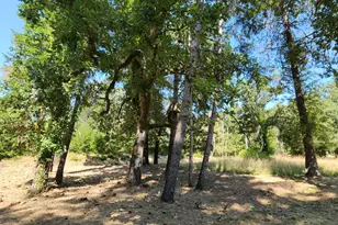 25331 Sherwood Rd, Willits, CA 95490 - Photo 1