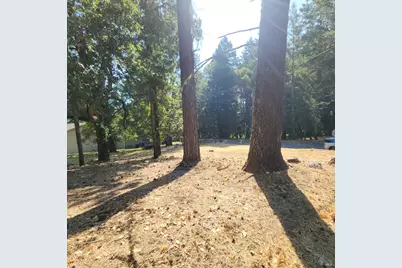 25331 Sherwood Road, Willits, CA 95490 - Photo 10