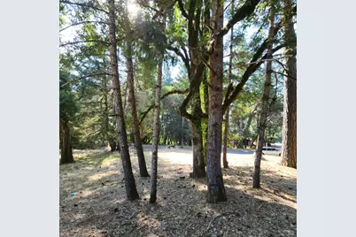 25331 Sherwood Road, Willits, CA 95490 - Photo 4