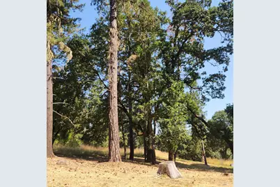 25331 Sherwood Road, Willits, CA 95490 - Photo 8