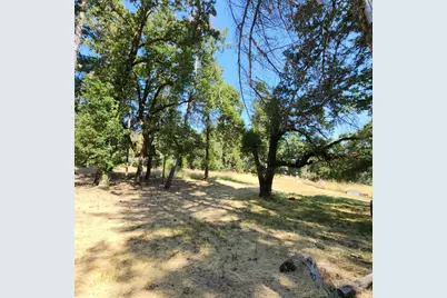25331 Sherwood Road, Willits, CA 95490 - Photo 6