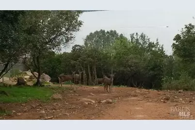 10508 Edgewater Drive, Kelseyville, CA 95451 - Photo 6