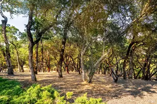 700 Petrified Forest Rd, Calistoga, CA 94515 - Photo 54