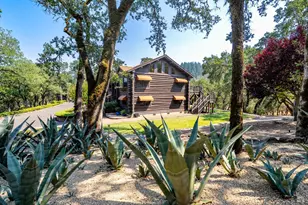 700 Petrified Forest Rd, Calistoga, CA 94515 - Photo 48