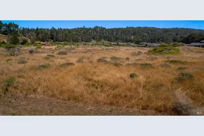 64 Whalers Reach, The Sea Ranch, CA 95497 - Photo 44