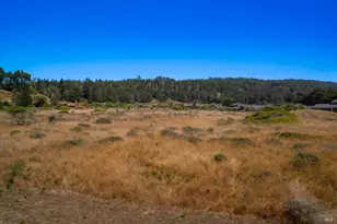 64 Whalers Reach, The Sea Ranch, CA 95497 - Photo 44