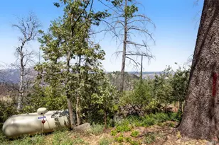 3880 Spring Mountain Rd, Saint Helena, CA 94574 - Photo 42