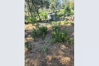 3880 Spring Mountain Road, Saint Helena, CA 94574 - Photo 46