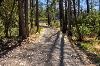 3880 Spring Mountain Road, Saint Helena, CA 94574 - Photo 50