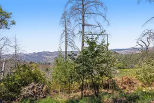 3880 Spring Mountain Rd, Saint Helena, CA 94574 - Photo 44