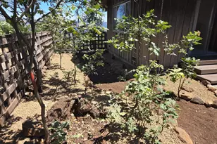 3880 Spring Mountain Rd, Saint Helena, CA 94574 - Photo 6