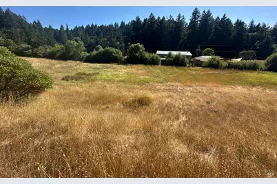 25460 Madrone Way, Willits, CA 95490 - Photo 1