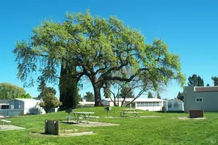 175 Palm Beach Ct, Fairfield, CA 94533 - Photo 28