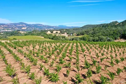 25845 Dutcher Creek Road, Cloverdale, CA 95425 - Photo 64