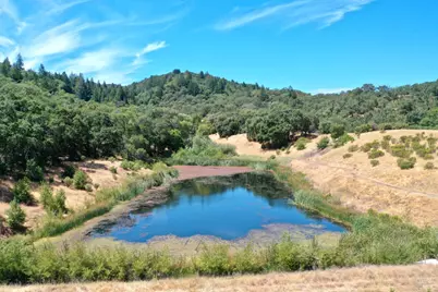 25845 Dutcher Creek Road, Cloverdale, CA 95425 - Photo 6