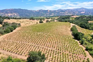 25845 Dutcher Creek Rd, Cloverdale, CA 95425 - Photo 8