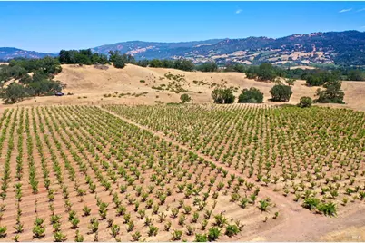 25845 Dutcher Creek Road, Cloverdale, CA 95425 - Photo 40