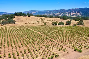 25845 Dutcher Creek Rd, Cloverdale, CA 95425 - Photo 40