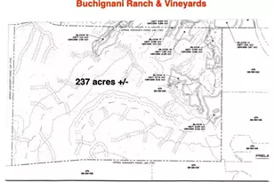 25845 Dutcher Creek Rd, Cloverdale, CA 95425 - Photo 76