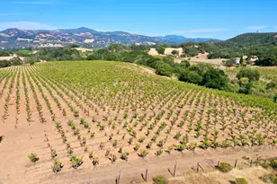 25845 Dutcher Creek Rd, Cloverdale, CA 95425 - Photo 56