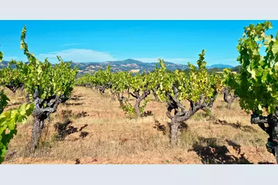 25845 Dutcher Creek Road, Cloverdale, CA 95425 - Photo 68