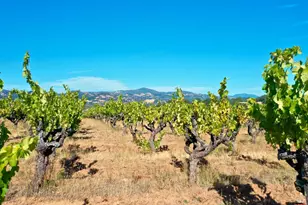 25845 Dutcher Creek Rd, Cloverdale, CA 95425 - Photo 68