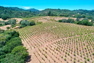 25845 Dutcher Creek Rd, Cloverdale, CA 95425 - Photo 54