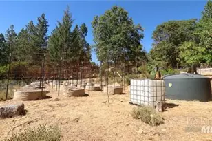 11444 Bottle Rock Rd, Kelseyville, CA 95451 - Photo 8