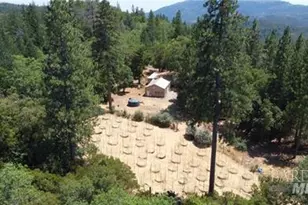 11444 Bottle Rock Rd, Kelseyville, CA 95451 - Photo 40