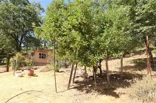 11444 Bottle Rock Rd, Kelseyville, CA 95451 - Photo 10