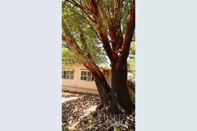 11444 Bottle Rock Road, Kelseyville, CA 95451 - Photo 16