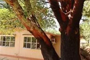 11444 Bottle Rock Rd, Kelseyville, CA 95451 - Photo 16