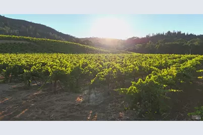 8207 W Dry Creek Road, Healdsburg, CA 95448 - Photo 4