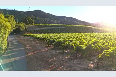 8207 W Dry Creek Road, Healdsburg, CA 95448 - Photo 12