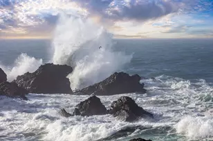 36419 E Ridge Rd, The Sea Ranch, CA 95497 - Photo 54