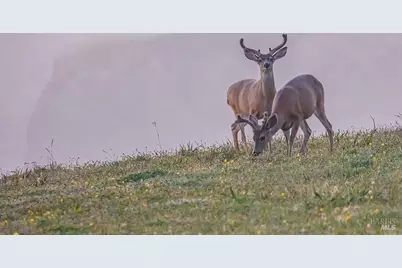 36419 E Ridge Road, The Sea Ranch, CA 95497 - Photo 46