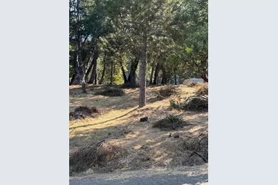 1596 Daphne Drive, Willits, CA 95490 - Photo 4