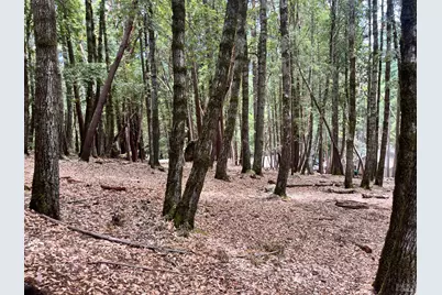 23649 Ridge Road, Willits, CA 95490 - Photo 4