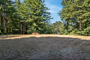 42795 Curley Ln, Point Arena, CA 95468 - Photo 30