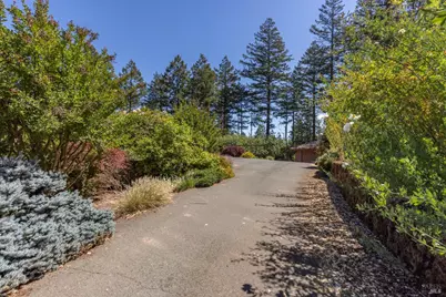 7007 Dry Creek Road, Napa, CA 94558 - Photo 8