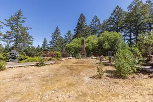 7007 Dry Creek Rd, Napa, CA 94558 - Photo 6