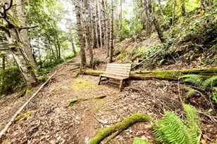 15551 Forest View Rd, Manchester, CA 95459 - Photo 50