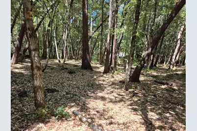 1694 Ponderosa Road, Willits, CA 95490 - Photo 2