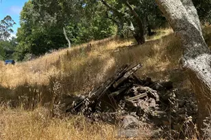 6675 Petersen Rd, Petaluma, CA 94952 - Photo 18