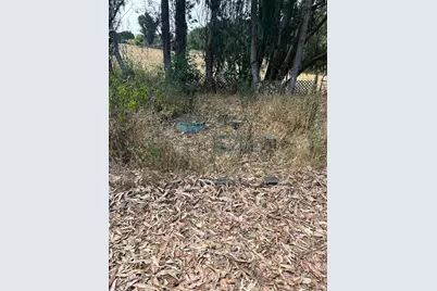 6675 Petersen Road, Petaluma, CA 94952 - Photo 14